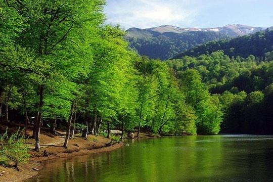Petit Dilijan Bed & Breakfast Екстериор снимка